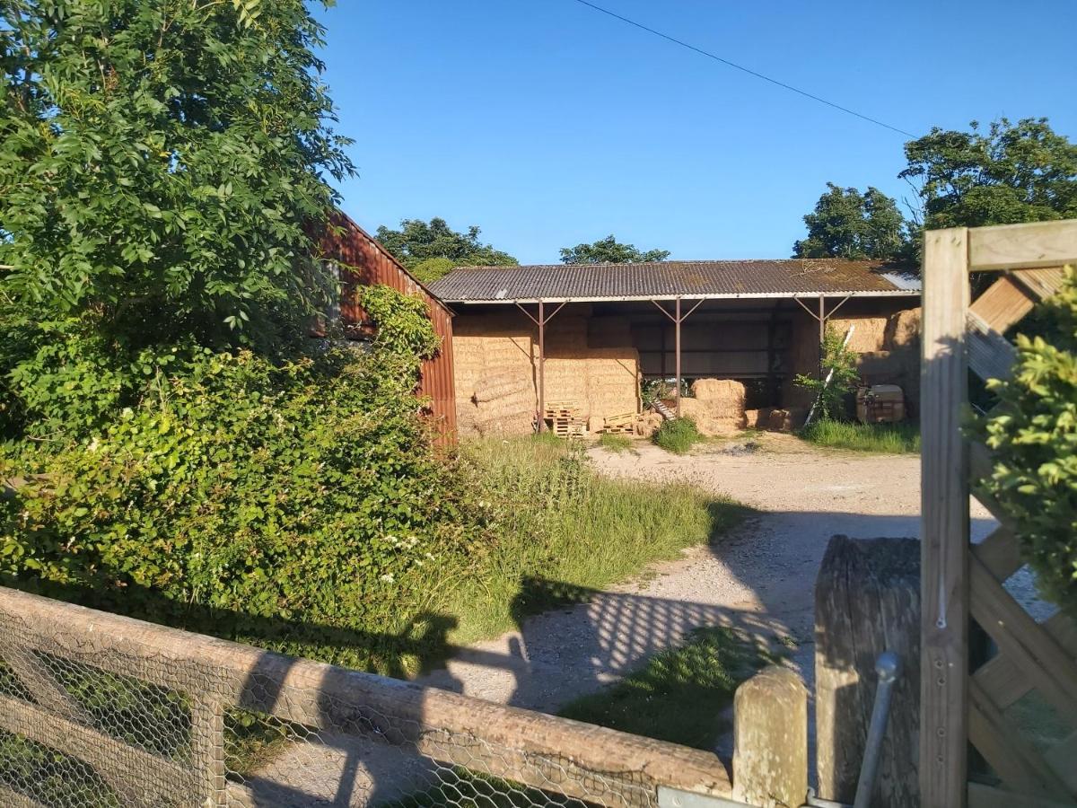 Beautiful Barn Conversion, 3 Bed, Hot Tub, Sauna, Gym, Enclosed Garden Ryde  Exterior foto